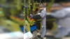6061 T6/6063 T5/6060 T66 tubo/tubería de aluminio anodizado